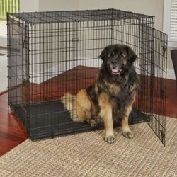 Brand New 48"x31"x33 Xxl'xxxl Dog Crate 2 Door 6 Locks Foldable Animal Cage With Tray Portable Kennel