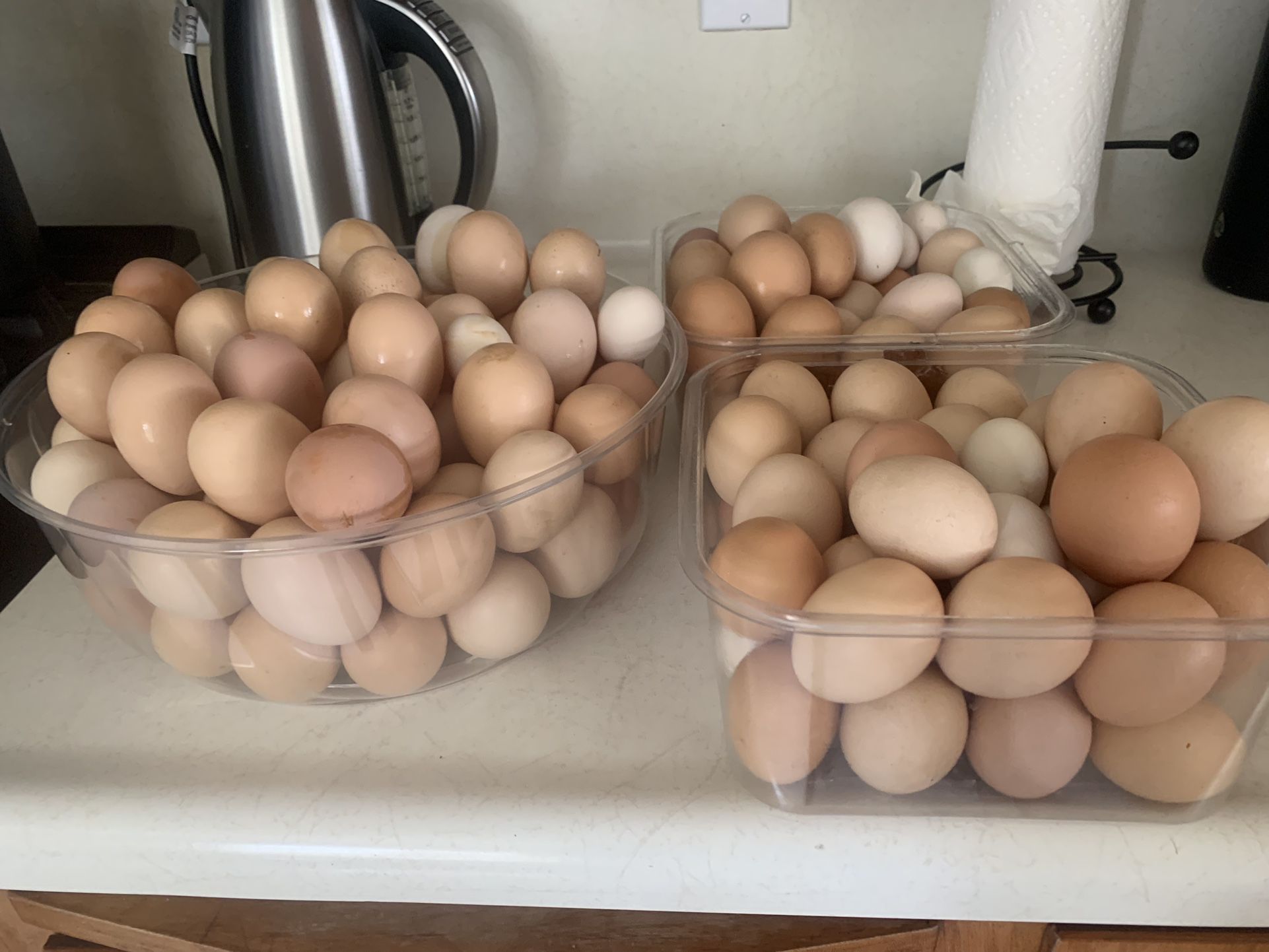 Eggs Fresh Organic 
