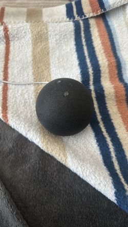 Amazon Echo Dot