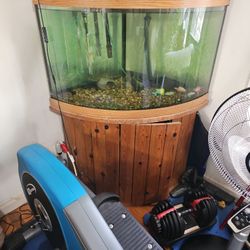 Fish Tank