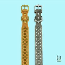 Spike Leather Dog Collar