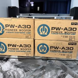 Pioneer PW-A30 Speakers NEW