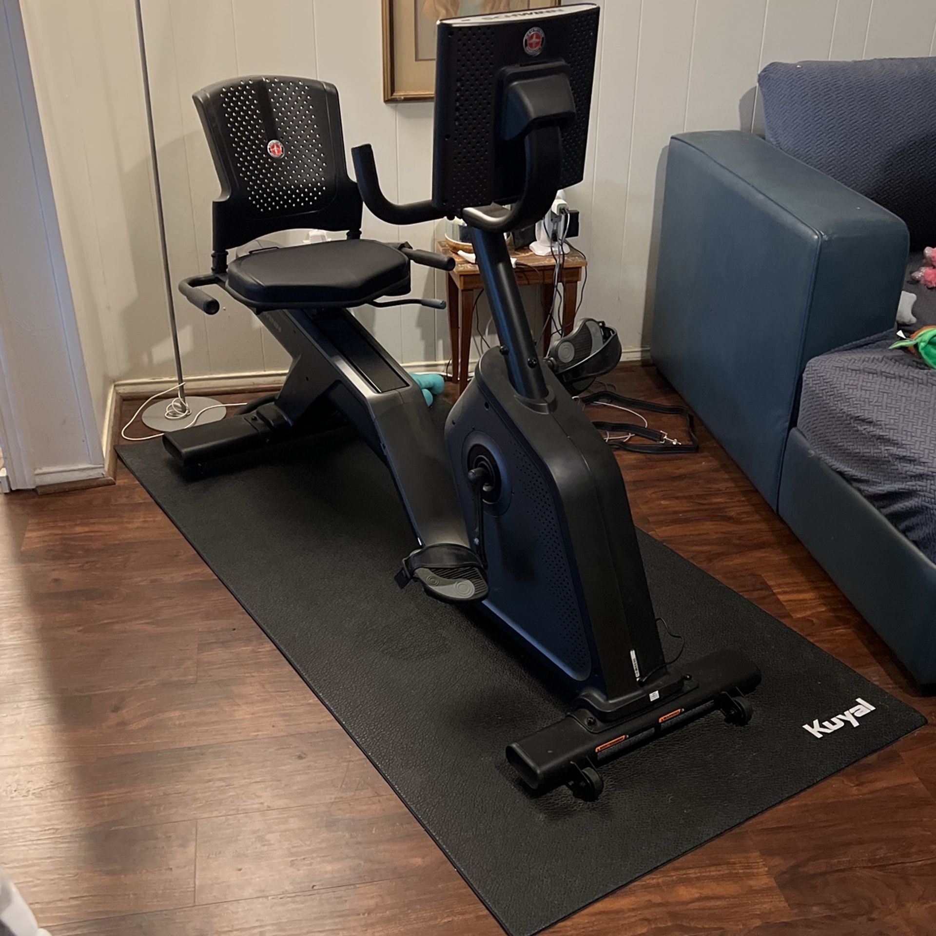 Schwinn 290 Recumbent Bike