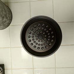 Moen Shower Head