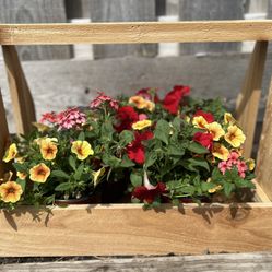 Cedar Carpenter Box Planter