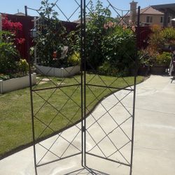 Gorgeous Trellis 