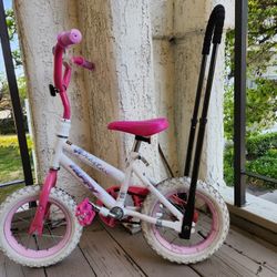 12 sea star bike top