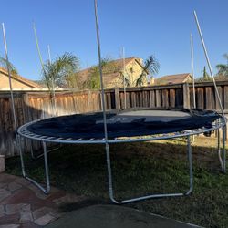 Free Trampoline