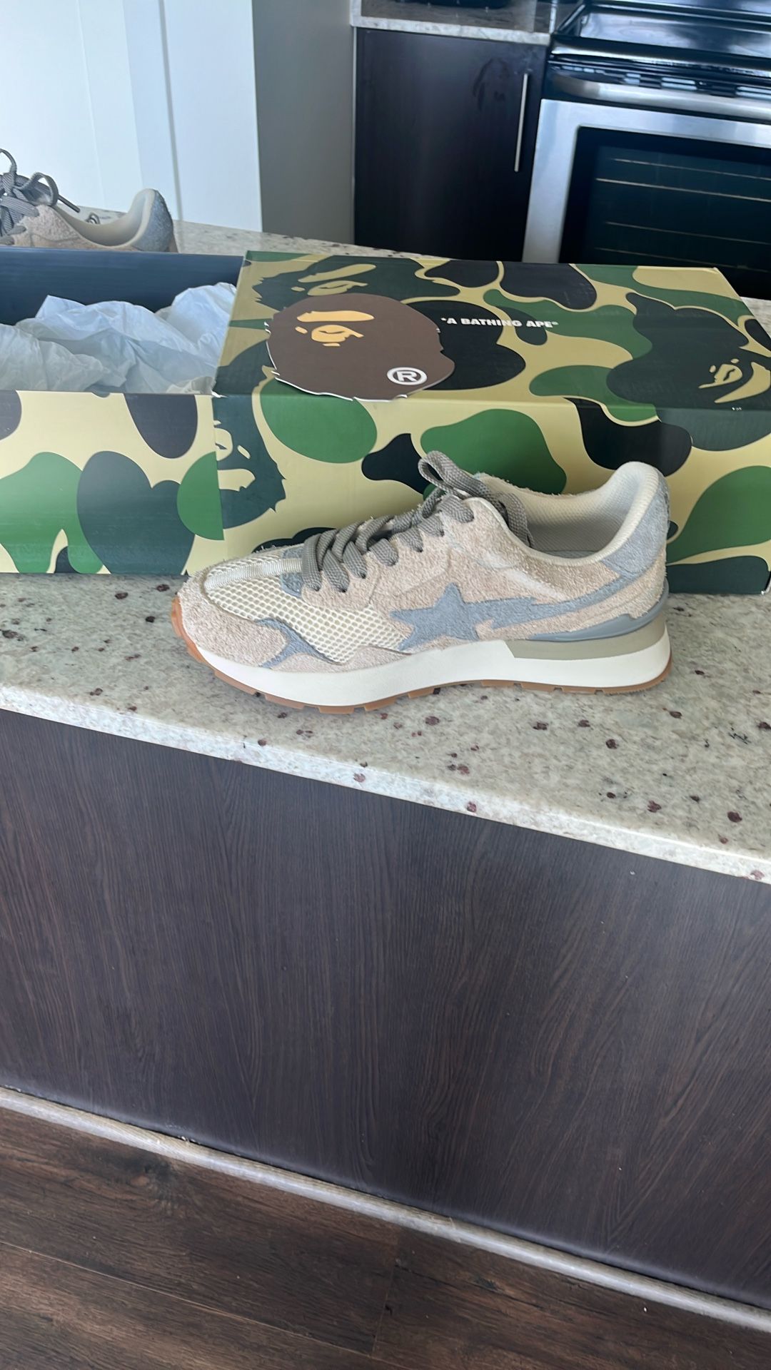 Bape X High Snobriety Shoes