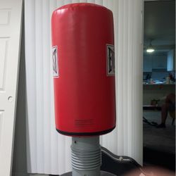 Everlast Boxing Bag