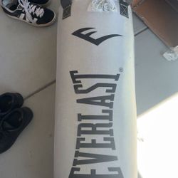 Everlast 60 lb punching bag