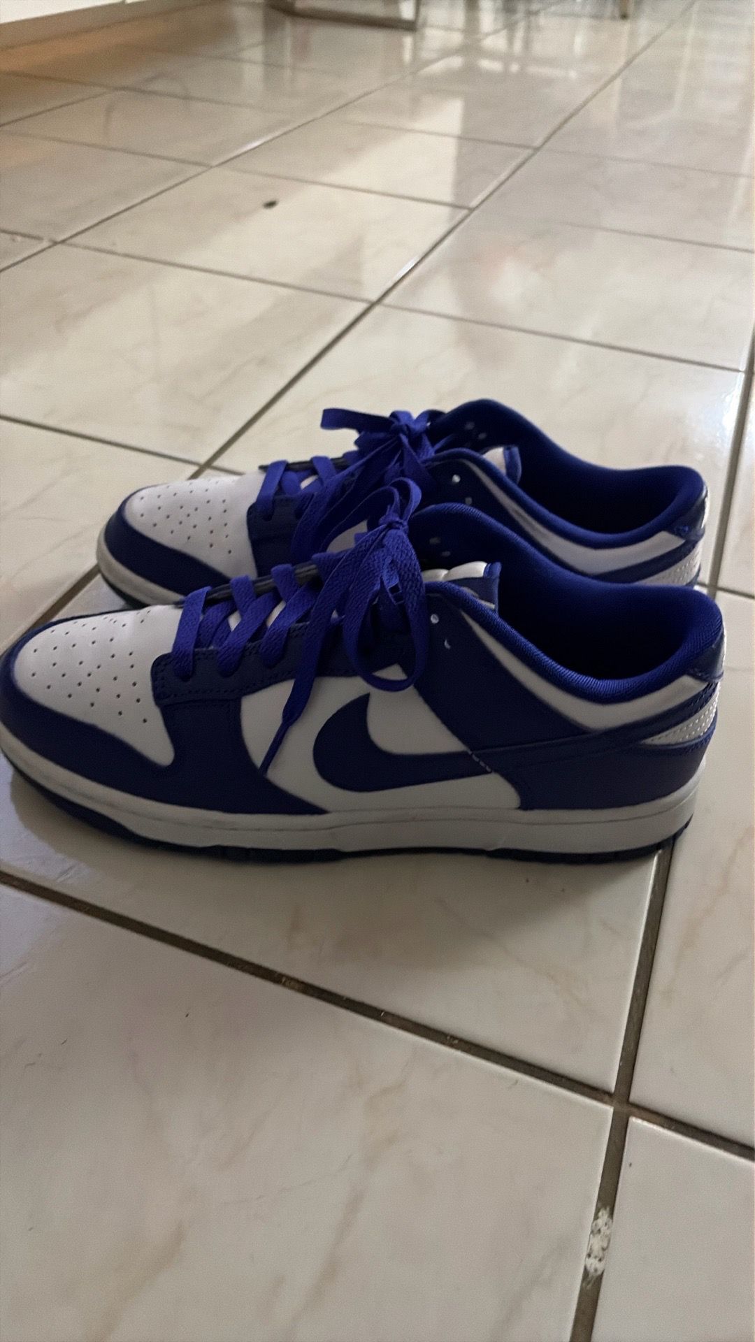 Nike Dunk Low Concord