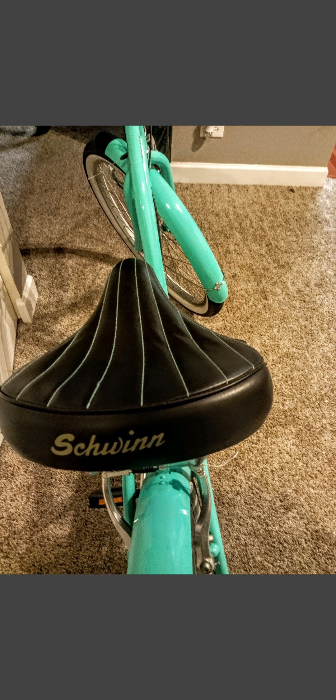 schwinn largo 7