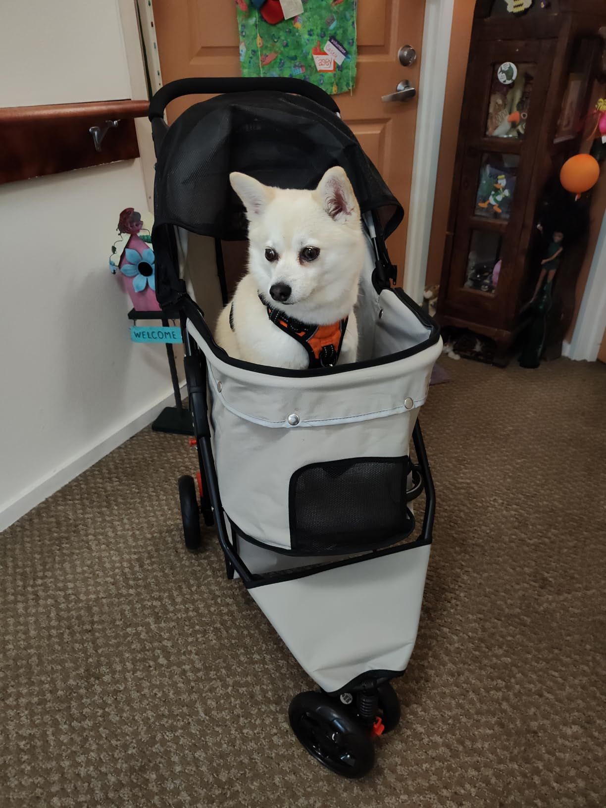 Dog Stroller - Brand New In Box