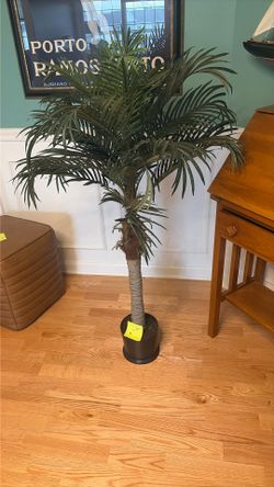 faux palm tree