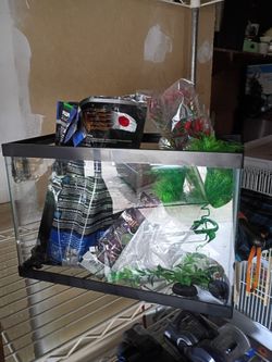 10 gallon fish aquarium with supplies