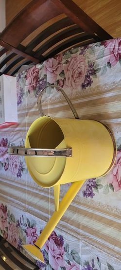 Metal Watering Can for Outdoor and Indoor Plants, Watering Can

