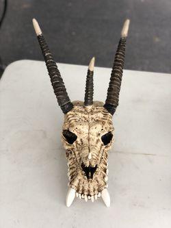 Dragon skull