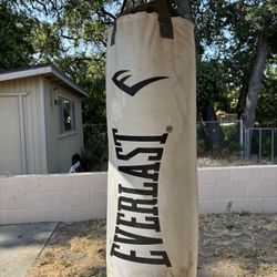 Everlast Heavy Punching Bag MAKE OFFER