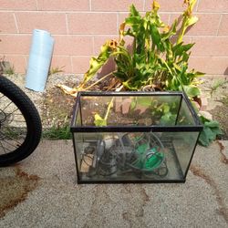 Fish Tank Don't Know Dimensions Medium Tank