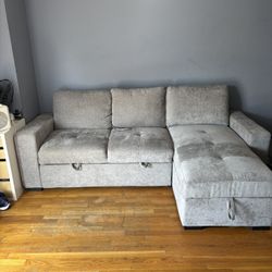 Pull Out Couch 