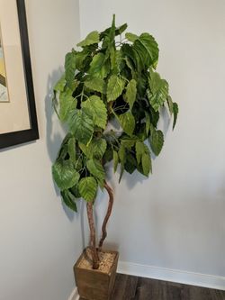 Large Artificial Ficus Tree in Wood Planter