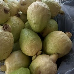 Guavas