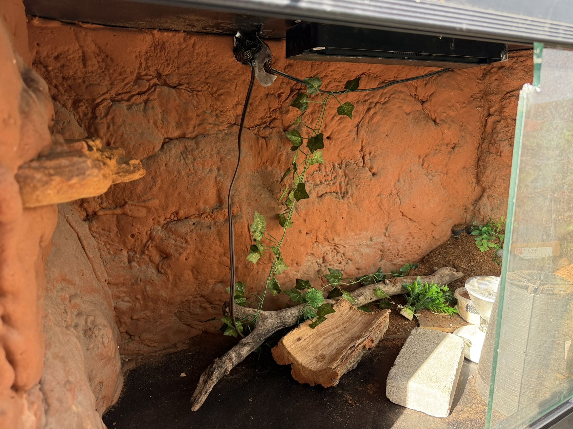 Large Reptile Enclosure