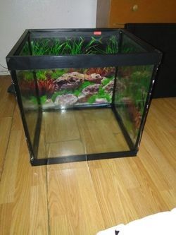 Fish Tank With  Homemade Hood  And Spong Filter 