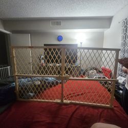 Baby Gates 