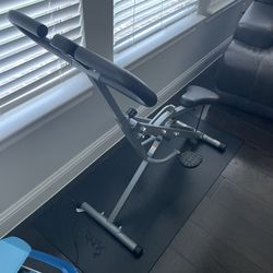 Sunny Health And Fitness Upright Row And Rider