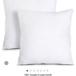 Utopia Bedding Throw Pillows Insert (Pack of 2, White) - 20 x 20 Inches Bed and Couch Pillows - Indoor Decorative Pillows