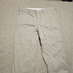 Express Pants 