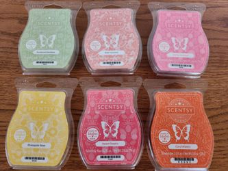 Eight (8) Scentsy Summer Scented Wax Melts