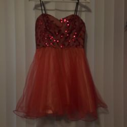 Homecoming / Prom dress