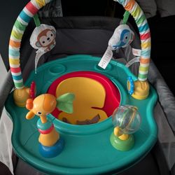 Bright Starts Infant Play Seat