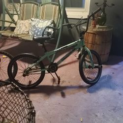 Kid's Bicycle Green