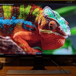 Samsung 28" Monitor (LU28E590DS/ZA)
