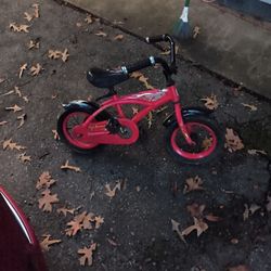 Schwinn Mini Cruiser 