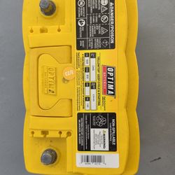 optima yellow top DH6