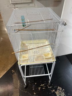 Bird cage