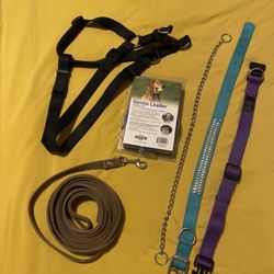 Medium To Large Size Dog Products 