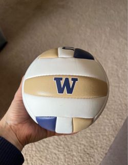 Official Molten UW Huskies mini souvenir volleyball (5.5-inch diameter size)