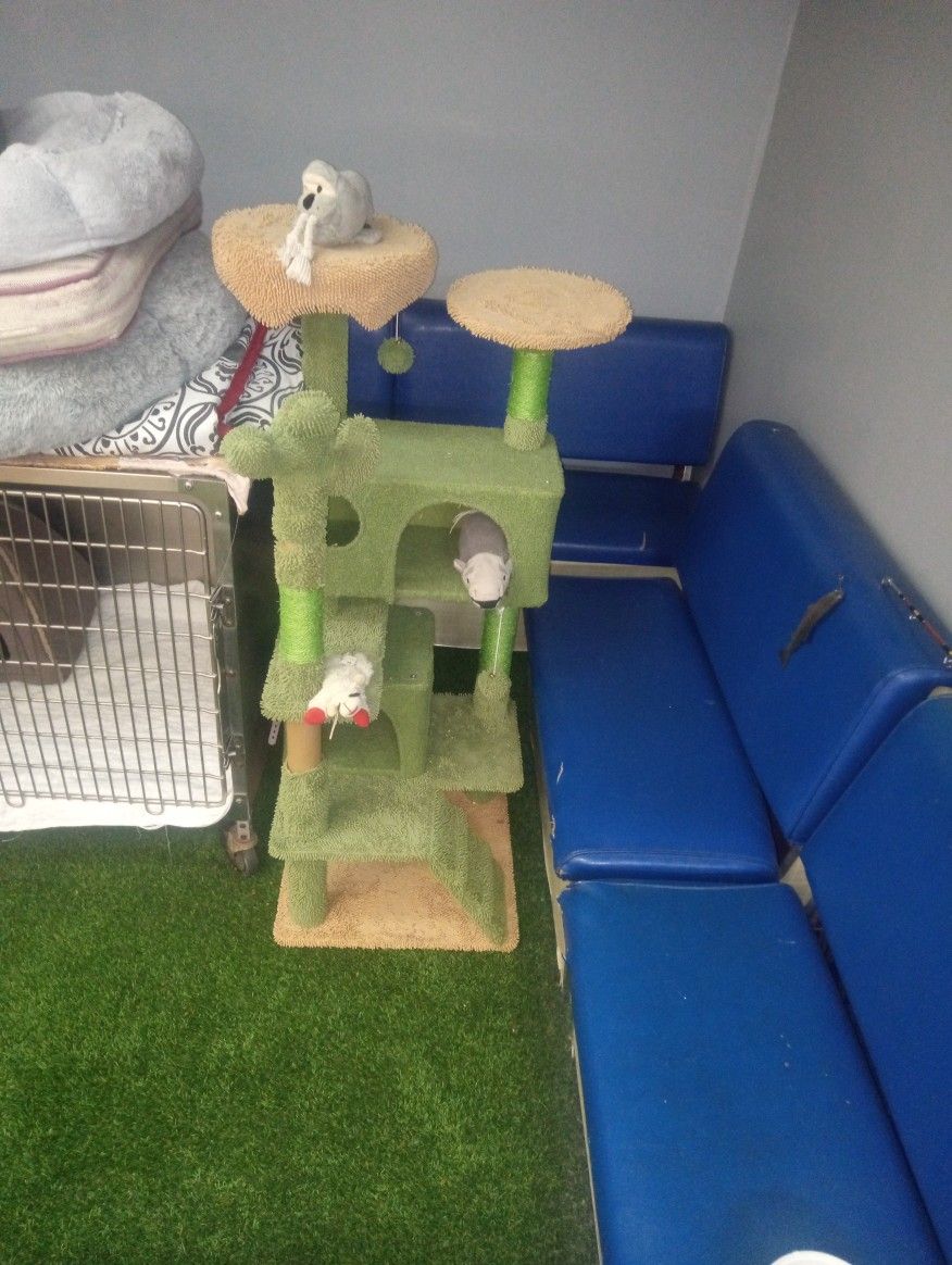 Cat Playset Area 
