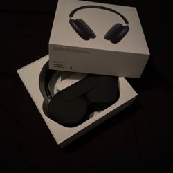 Apple Earphones Max $200 