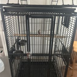 Birdcage