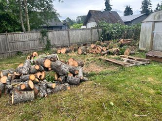 Free firewood. Cherry