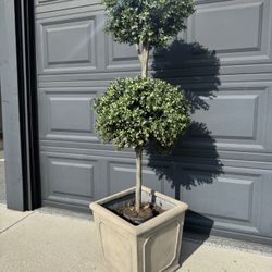 Faux Boxwood Tree & Planter