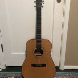 Rare Larivee Acoustic 
