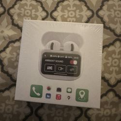 Ear Buds 
